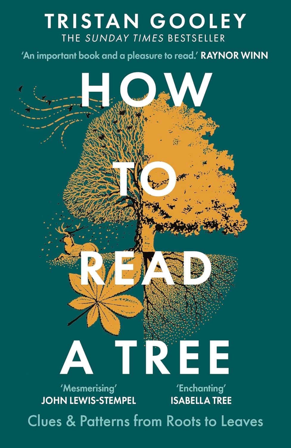 How to Read a Tree : A must-have for all nature lovers - perfect reading for your autumn adventures